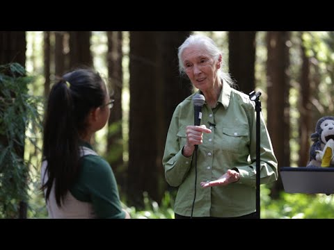 Jane Goodall inspires kids at Berkeley’s Redwood Grove
